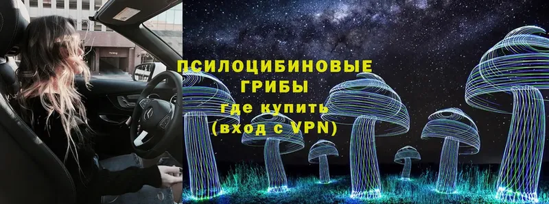 Галлюциногенные грибы MAGIC MUSHROOMS  наркота  Димитровград 